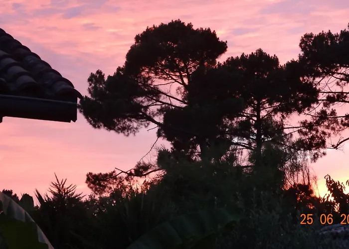 T2 Au Calme Avec Terrasse Sur Le Bassin D\'Arcachon