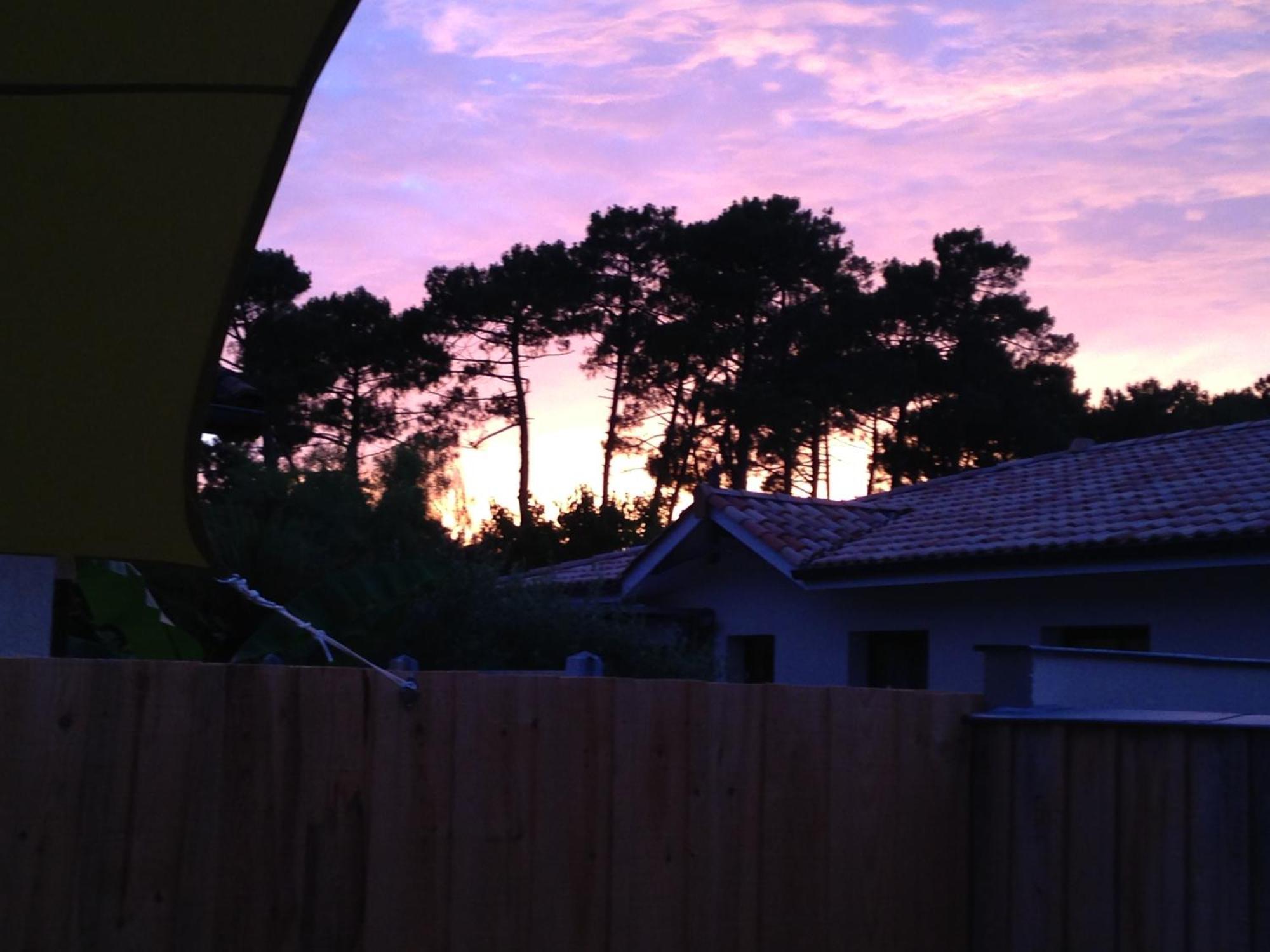 T2 Au Calme Avec Terrasse Sur Le Bassin D'arcachon *